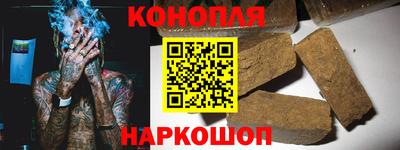 прущие грибы Будённовск