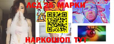 прущие грибы Будённовск
