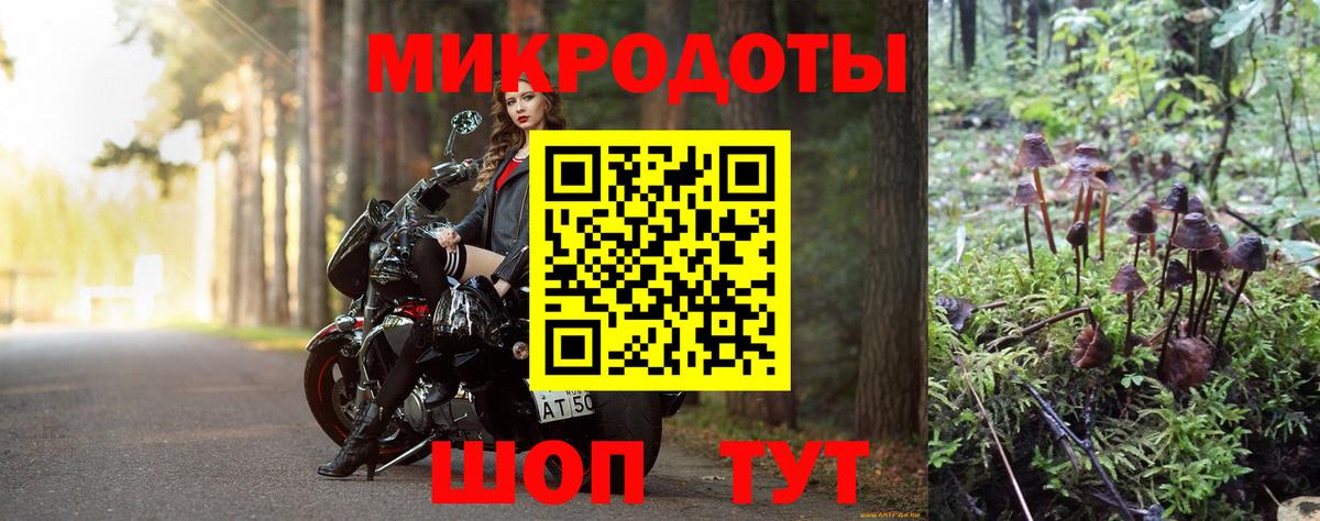 Щёкино  Галлюциногенные грибы Cubensis  Вход с VPN 